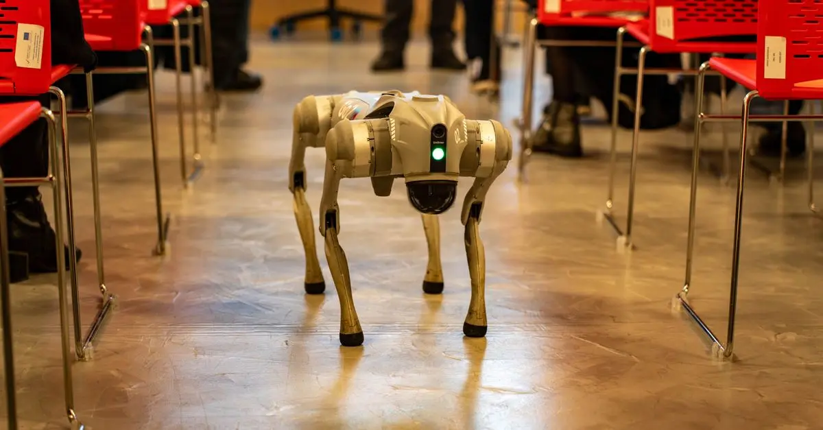 Jak działają technologie AI i jakie mają zastosowanie?